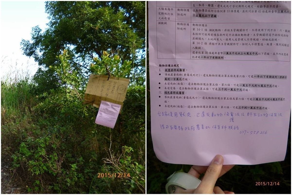苗栗縣動物保護防疫所14日前往告示張貼處稽查，並留下單據要地主「主動聯絡」。　取自苗栗縣議員陳光軒臉書
