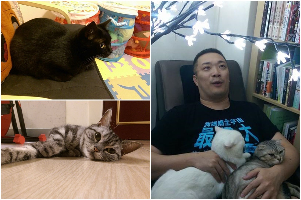 朱學恒與家中4貓。　取自朱學恒的阿宅萬事通事務所