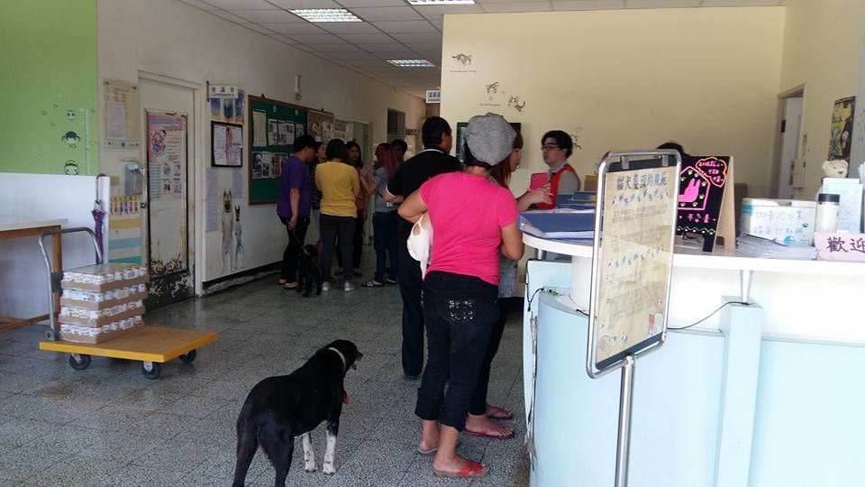 今（7）日一早，49隻品種犬皆已有人預約領養。　翻攝「徐婕姐」臉書
