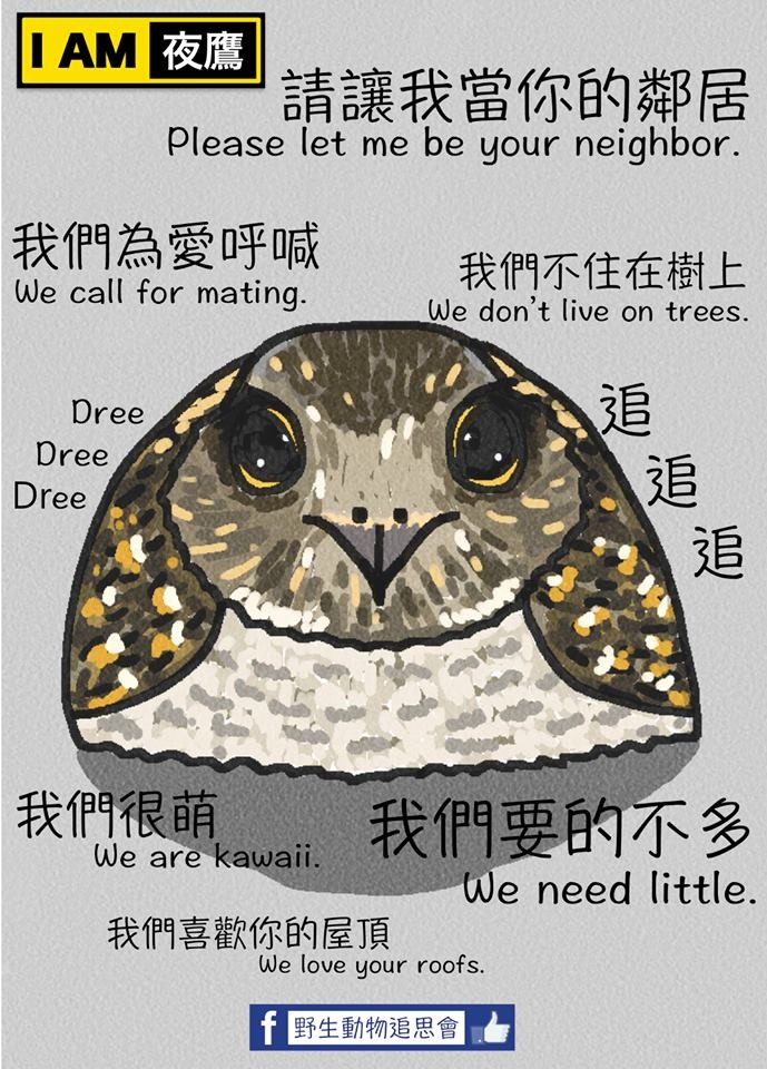 臉書粉絲專頁「野生動物追思會」也刊出圖文，道出夜鷹心聲。　取自野生動物追思會