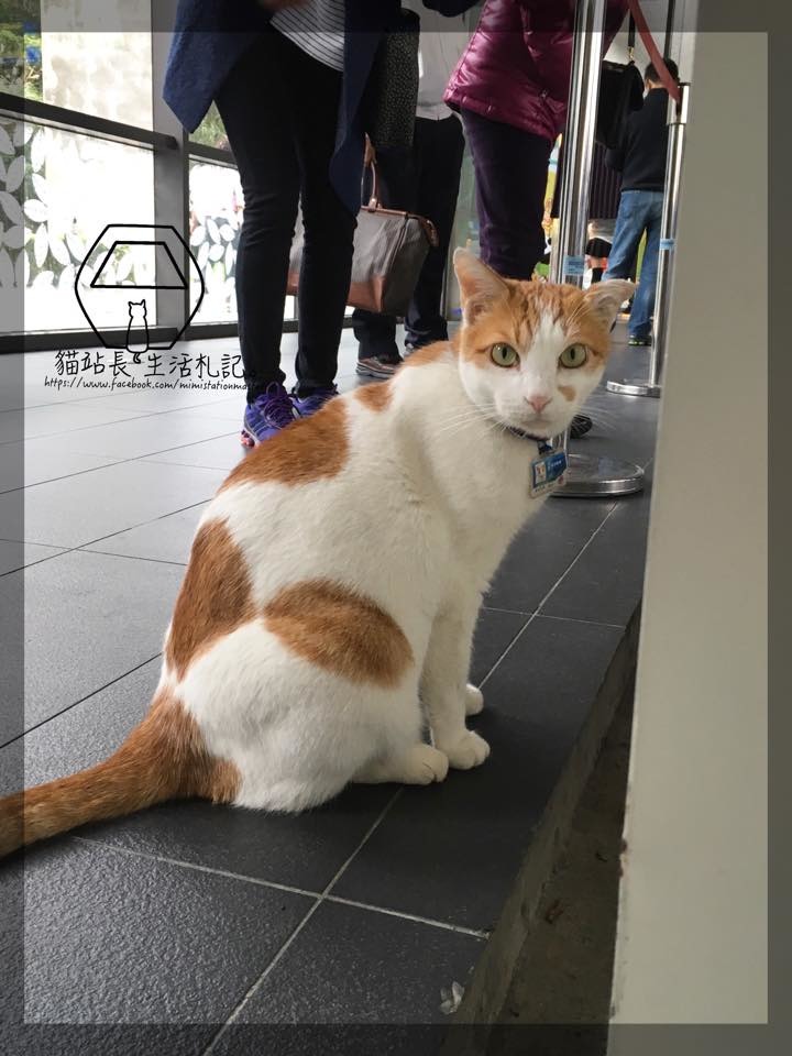 我是盡責的貓站長，喵～。  貓站長的退休生活/提供
