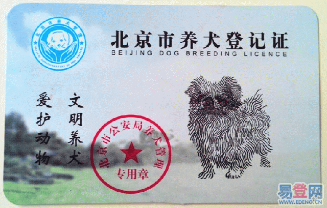 北京市的養狗證。　取自網路