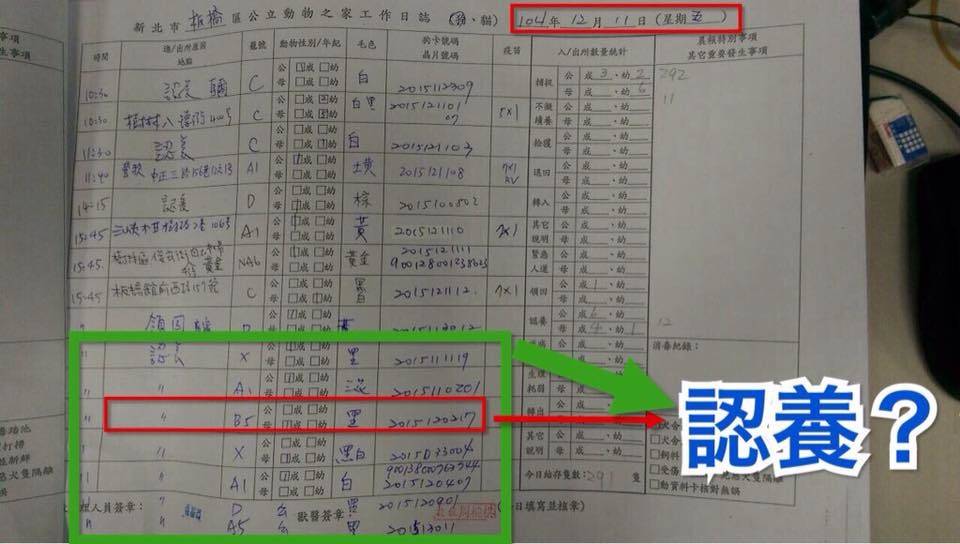 網友指出，有數隻2015年12月11日公告已認養的狗兒，卻在12月17-18日因漂白水灼傷，虛弱地躺在新北市動保處。　取自網路