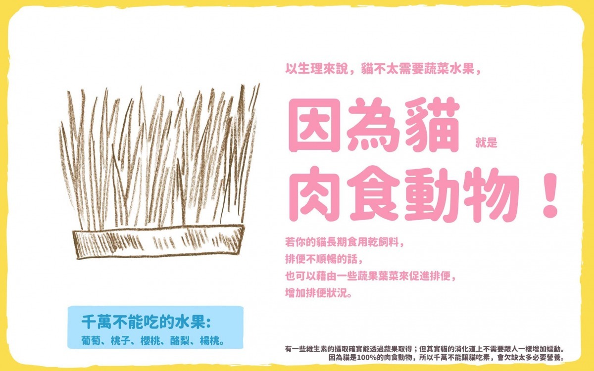 貓是100%肉食動物，但若是發現貓咪排便不暢，可以藉由少量蔬果來促進排便。　取自窩窩 Wuowuo粉絲頁
