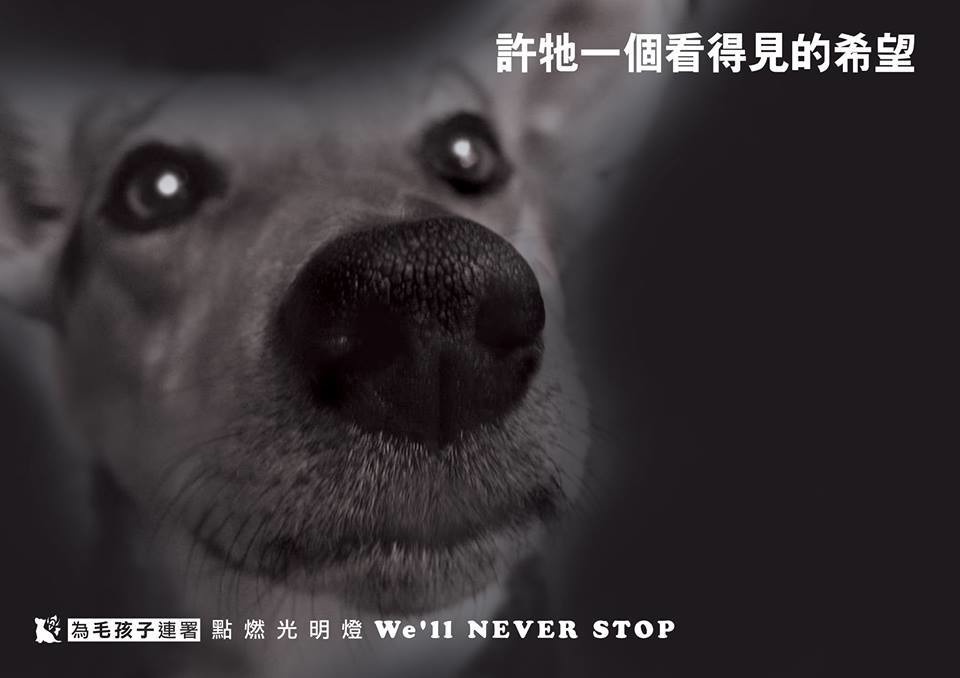 　取自「為毛孩子連署」粉絲專頁