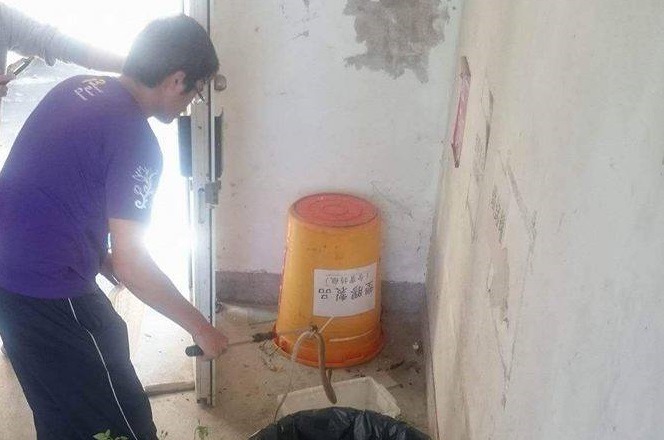 嘉義大學兩棲爬蟲研究社表示，若是了解蛇的習性，捕蛇行動可以既溫和又快速、雙方都不受傷。　嘉義大學兩棲爬蟲研究社/提供