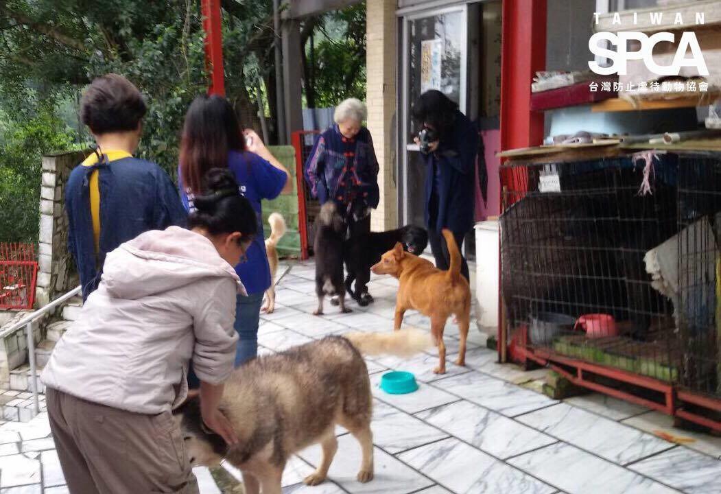 TSPCA得知張奶奶的狀況後，決定協助她送養家中飼養的貓狗，一步步解決問題。　取自Taiwan SPCA 台灣防止虐待動物協會專頁