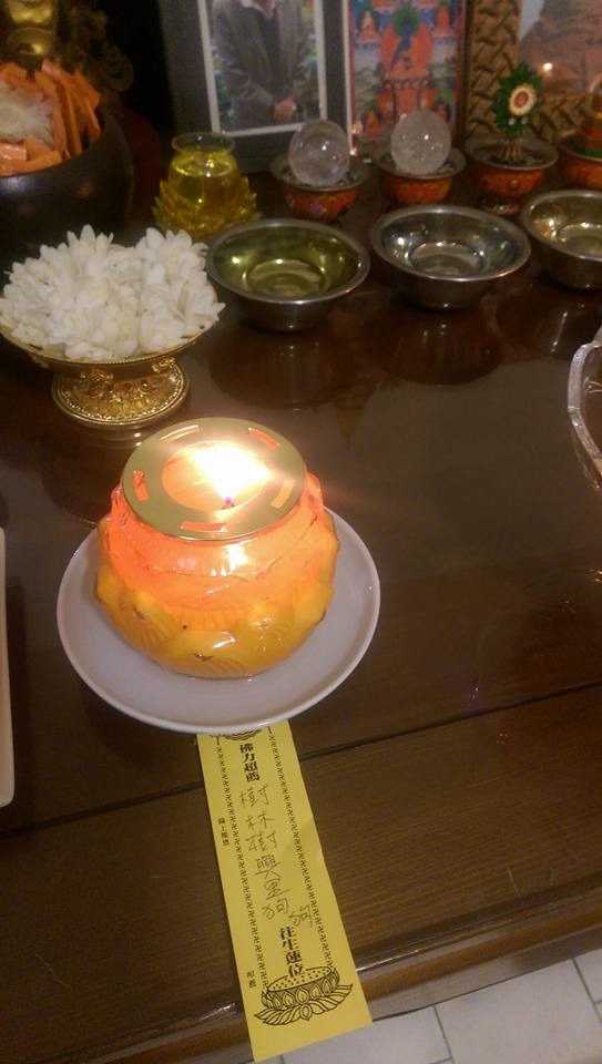 受害飼主司小姐幫樹林區樹興里的受害狗兒點燈立牌位。　司小姐/提供