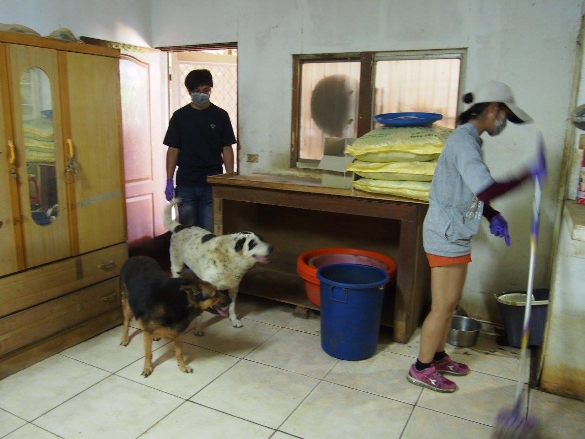 這幾日都是由桃園市動物管制隊隊員前往徐愛媽家打掃、餵狗。　取自志工Jerry臉書