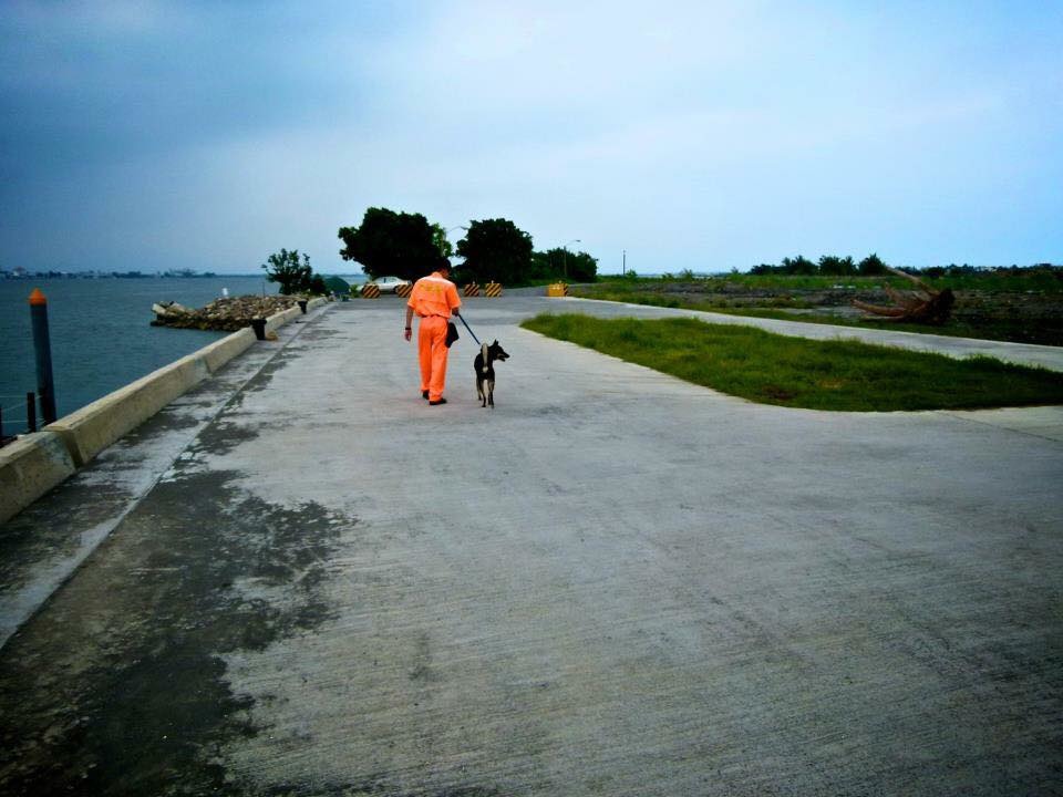小黑生命的最後一哩路上,有許多愛牠的人陪在身邊。取自「我叫小黑現在很好」專頁
