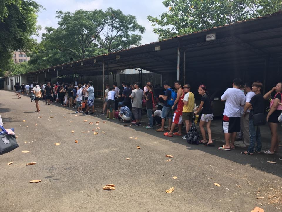 公告一出，26日一早大批民眾在竹北收容所前排隊搶領品種犬。　志工/提供