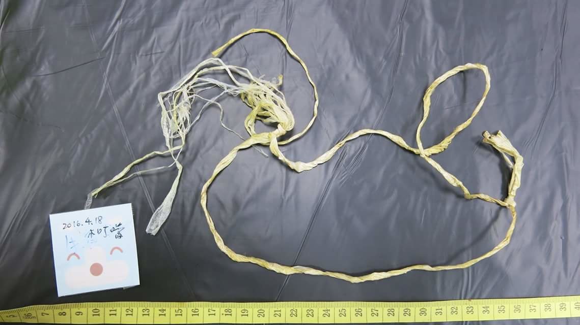小叮噹能夠進食後，排泄物裡面發現一條完整的塑膠繩。　取自「還地球幸福的笑臉」粉絲專頁