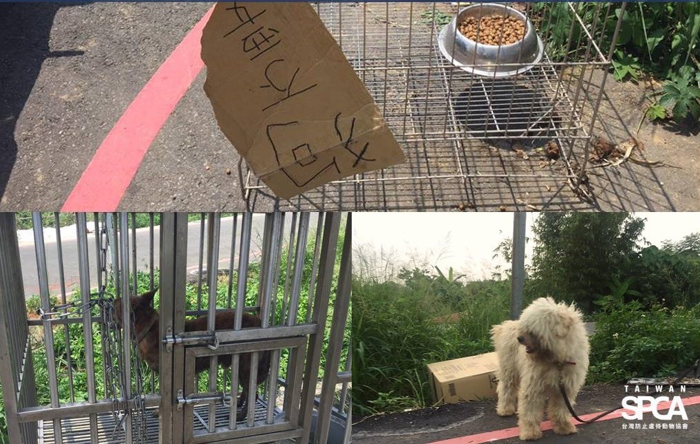老太太經TSPCA調查員說明，才了解把狗棄置路邊是違法行為。　取自Taiwan SPCA 台灣防止虐待動物協會