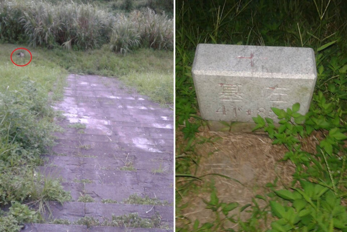 黑狗陳屍在人煙稀少的河岸。　基隆市動物保護防疫所/提供