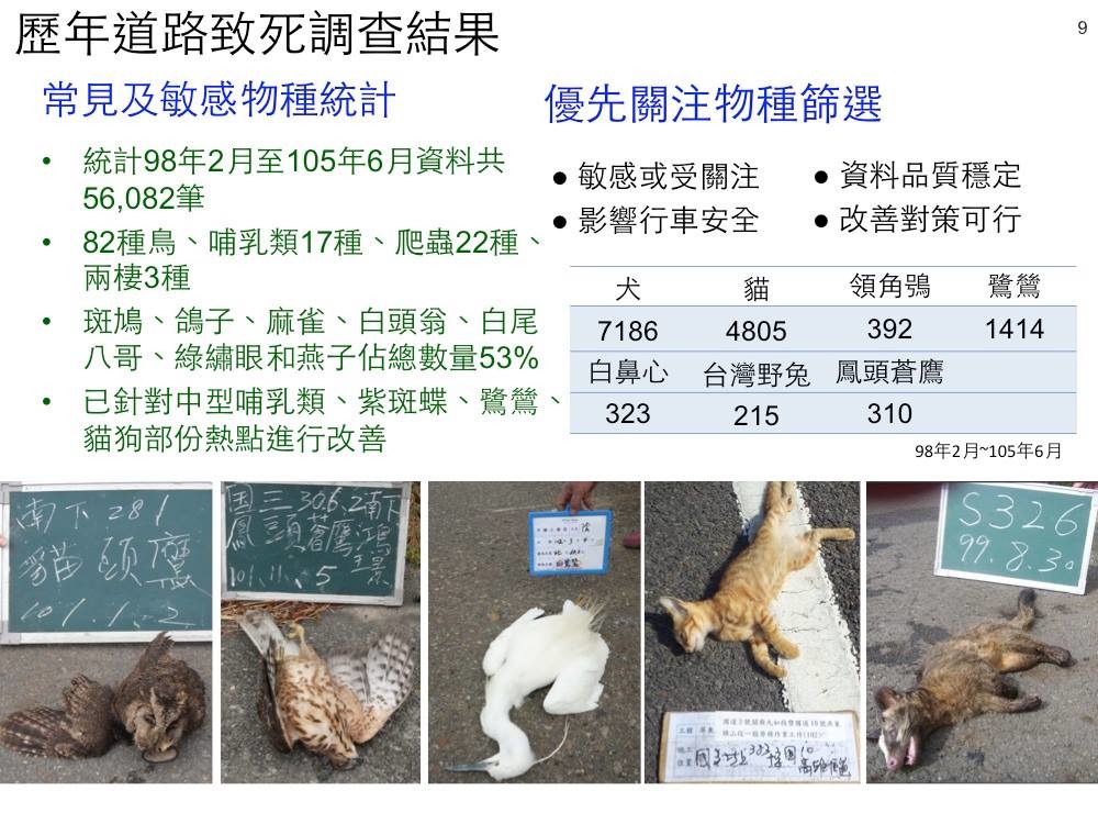 圖片來源:高公局「國道資源調查暨淺山環境復育計畫」。