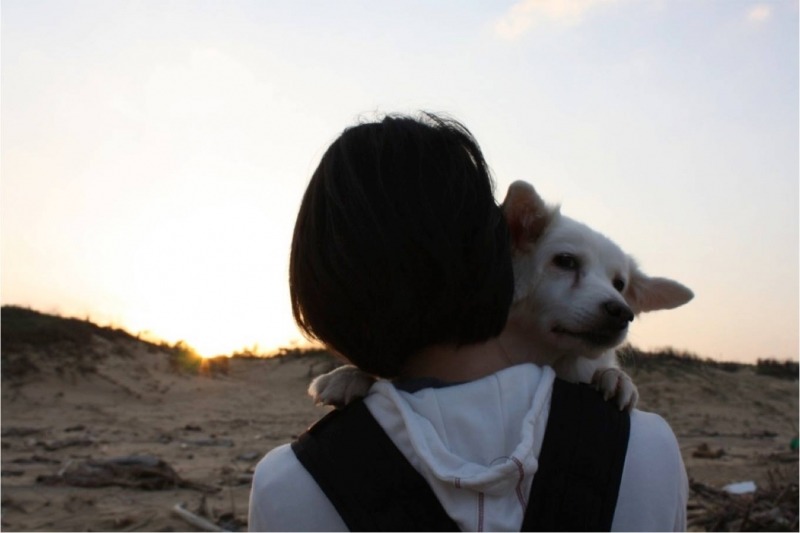 許多「愛心媽媽(人士)」因為不忍而踏入流浪犬貓的收容救援,耗盡積蓄、失去歡顏,甚至失去對人的信任。本文圖片皆為作者提供。