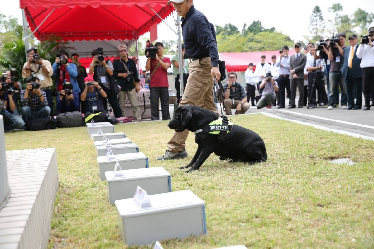 11月13日國安局舉辦第14屆總統副總統維安編成典禮，偵爆犬首次公開亮相，照片中犬隻為Edan。　財政部關務署/提供