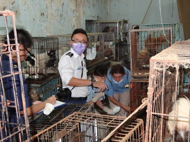 SPCA檢核部人員（調查員）聯同警方及漁護署一起虐待動物案件。　取自SPCA (HK) 香港愛護動物協會臉書