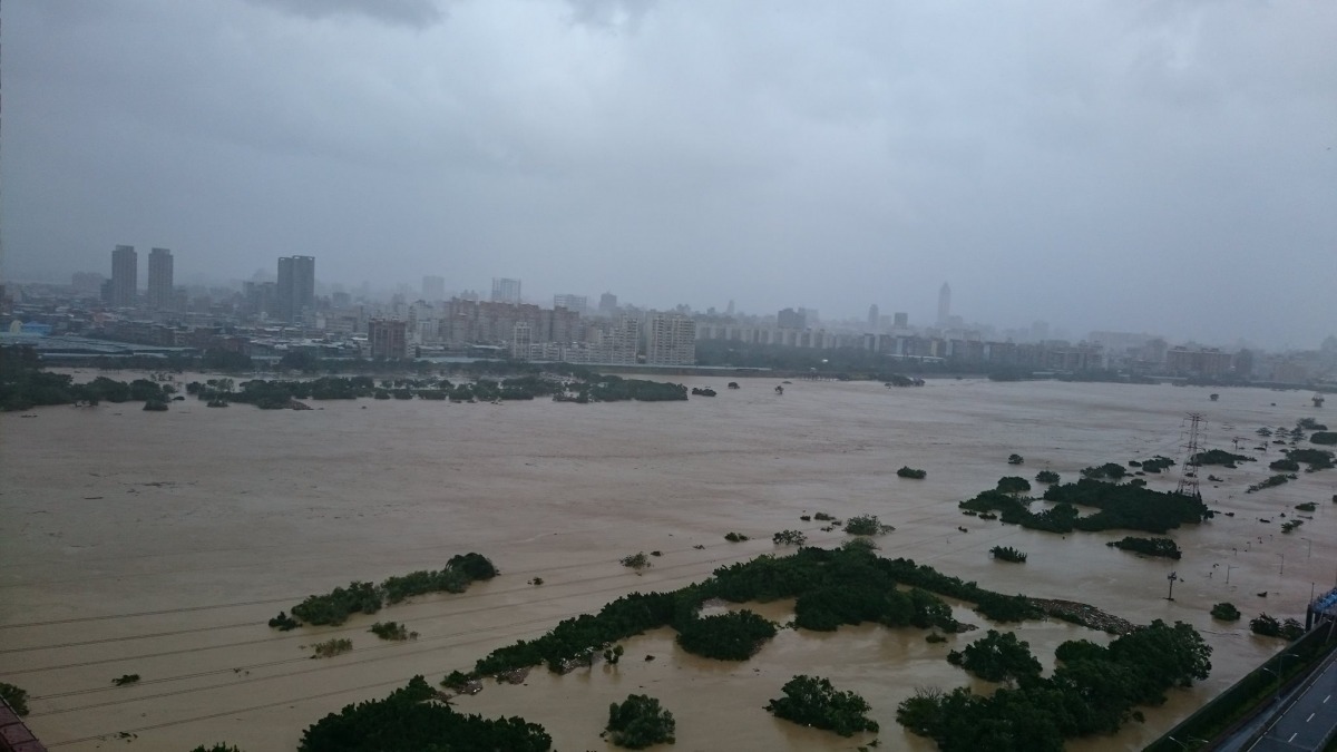 颱風襲擊,河濱公園的流浪犬總是面臨逃無可逃的生命威脅。
