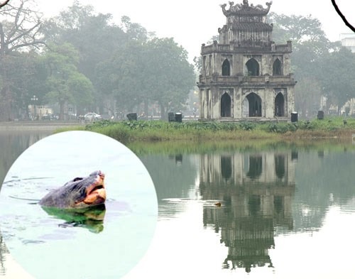 神鱉Cu Rua與牠居住的還劍湖。 取自eva.vn