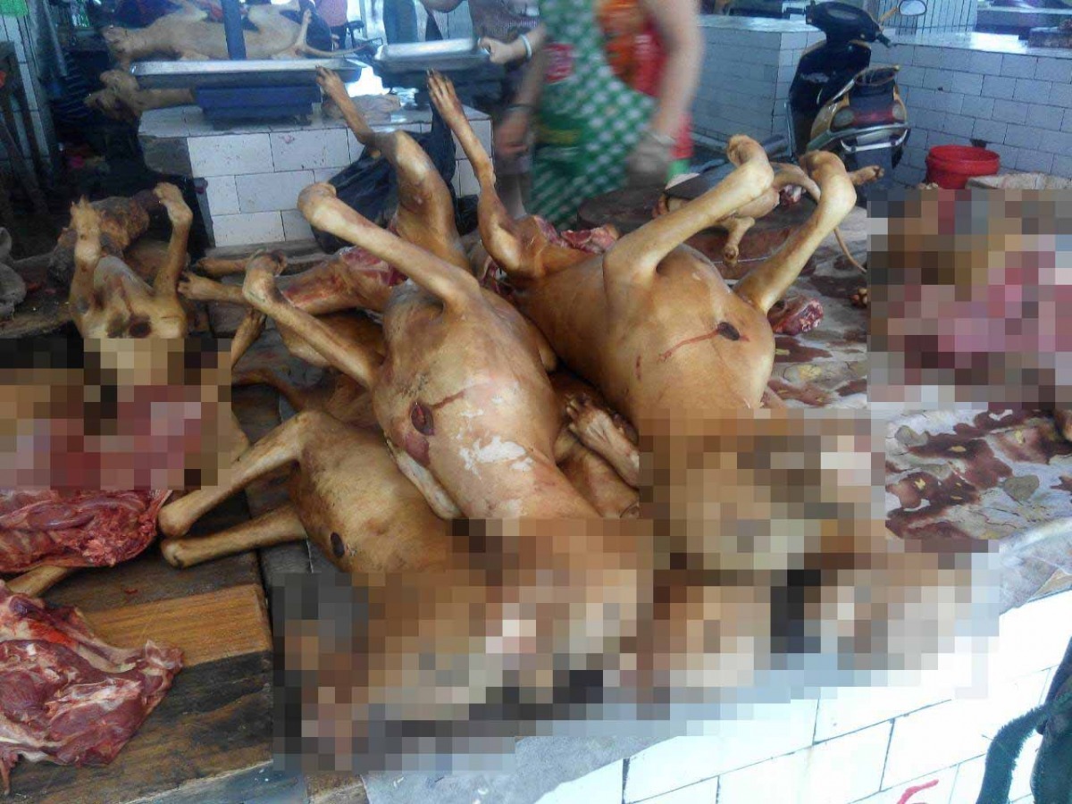市場中有許多狗肉攤販，媒體無法直接拍攝，只能以偷拍方式取得照片。　左湘敏/提供