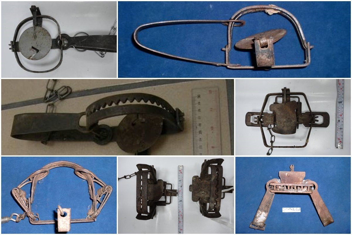 《動物保護法施行細則》所定義的獸鋏種類。 取自網路