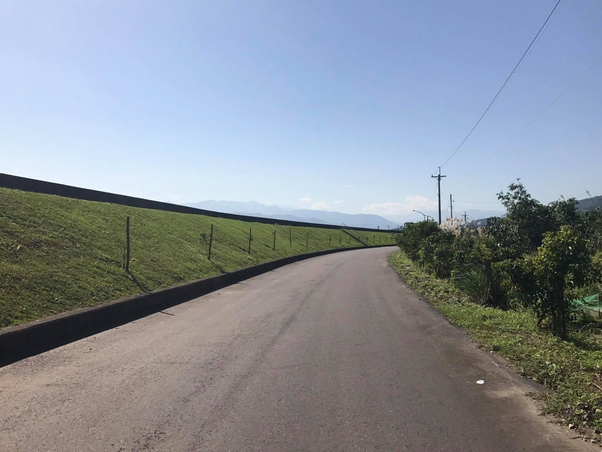 犬隻中毒的堤防路段。 案件飼主/提供