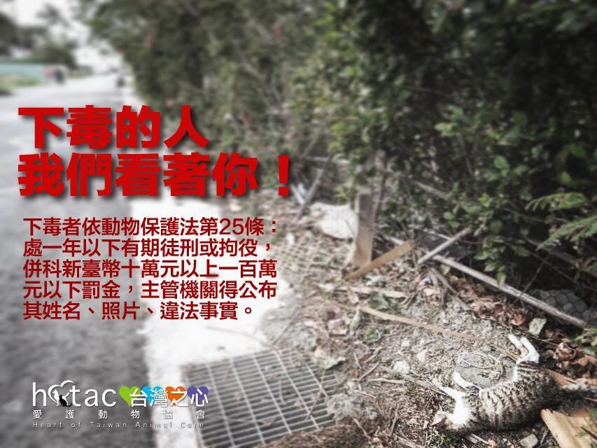 面對官方消極的態度，動保團體台灣之心愛護動物協會積極介入調查，希望能扭轉當地長年有動物遭毒死的慘況。　取自台灣之心愛護動物協會