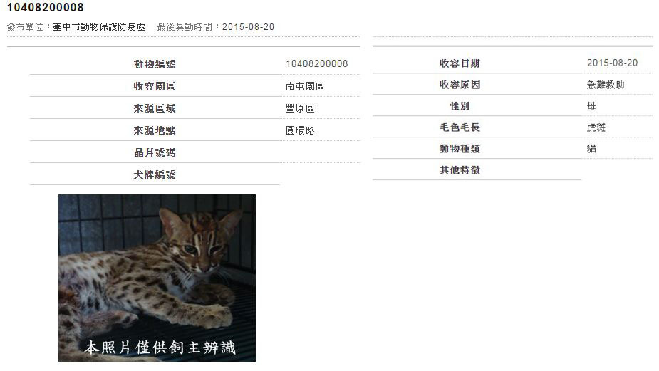 台中市動保處20日的動物收容公告中，出現一隻外型特殊的「虎斑貓」，公告現已撤下。　網頁截圖