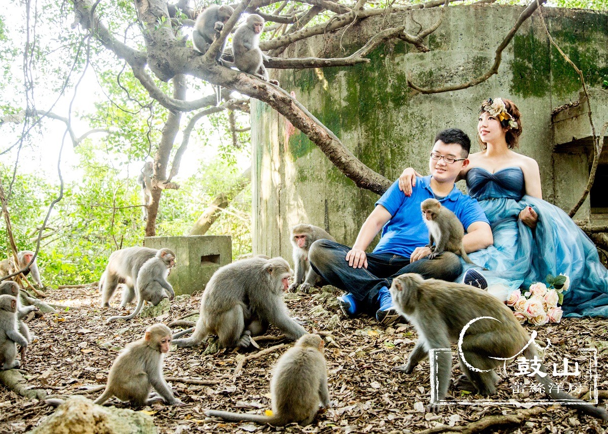 台灣獼猴入鏡林美吟的婚紗照，氣氛和諧。　林美吟/提供