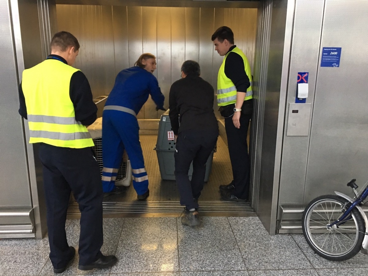 德國檢疫官員　作者／提供　　