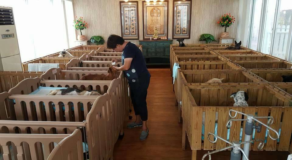 照片為莉丰慧館重症區。　徐園長/提供