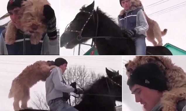 原先都是小跑步回家的格拉夫,不知為何突然轉換了通勤方式。 取自veooz.com