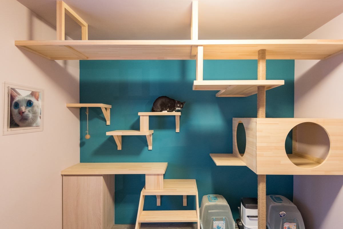 多貓家庭的「貓屋 Play ground」高高低低的櫃子、跳台、層板、天空貓道，在小空間中也能創造豐富的層次，充滿樂趣，讓貓不無聊。