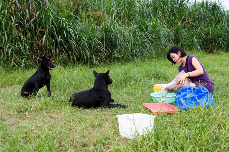 「自我照顧與相互扶持工作坊」希望能幫助愛心媽媽紓緩壓力。　取自台灣動物平權促進會(許閔皓/攝)