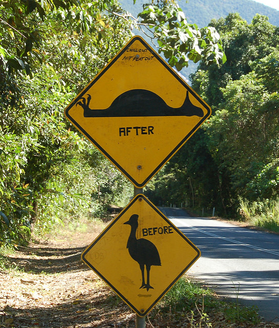 桑頓海灘周邊有不少具攻擊性的動物，例如身高可以高達 150至200公分的鶴鴕就被視為要小心的動物，路旁可以見到警告標誌。　flickr_jdegenhardt