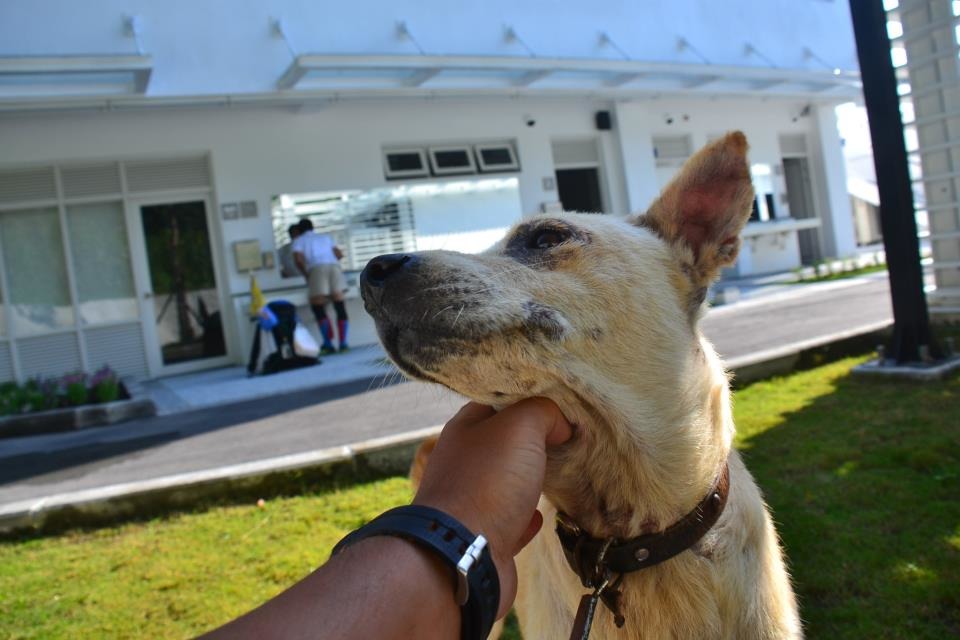 毛頭與毛導在花蓮遇到長得有點衰的衰臉小白。 毛頭/提供