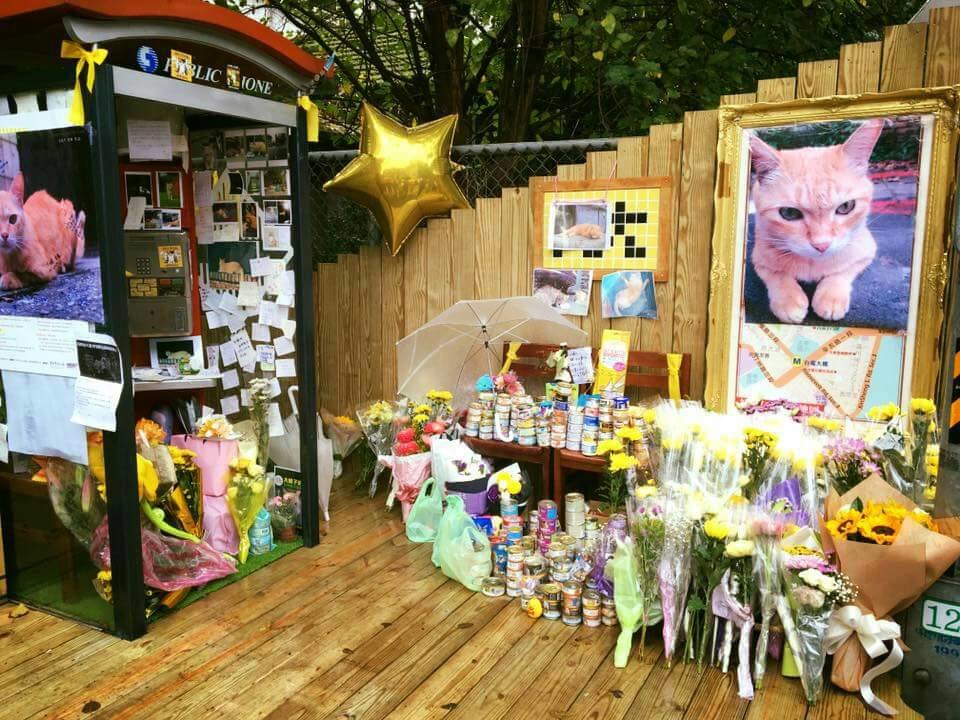 大橘子追思會現場。　呂岱霖/攝