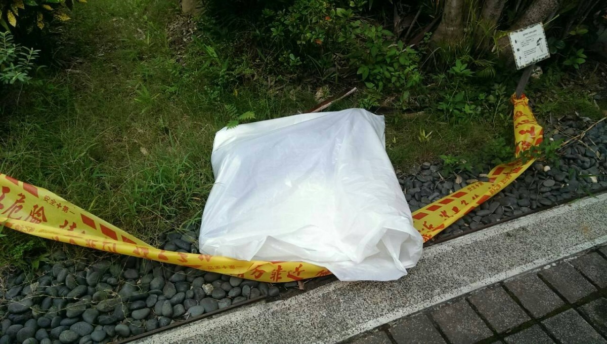 台中都會公園周邊遭人放毒,一周內有6隻狗死亡。 台中市動保處/提供