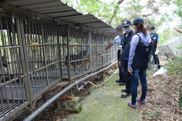 去年9月，藉著民眾提供的線索，台北市動保處破獲北投大型不法繁殖場。　台灣動物新聞網資料照(台北市動保處/提供)