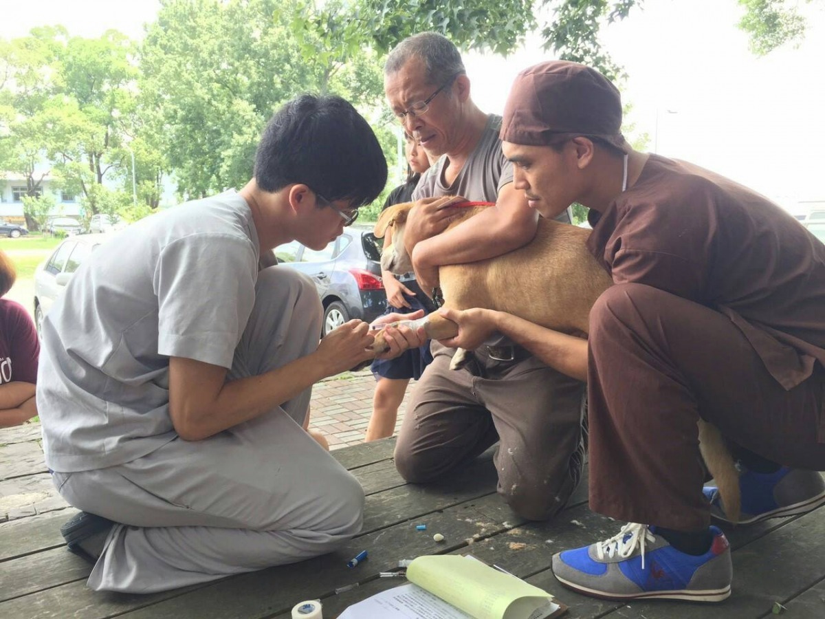 台中市幅員廣闊，許多地區沒有足夠的動物醫療資源，圖為台中市動保處偕動保團體前進偏鄉，辦理犬貓絕育計畫。　台中市動保處/提供