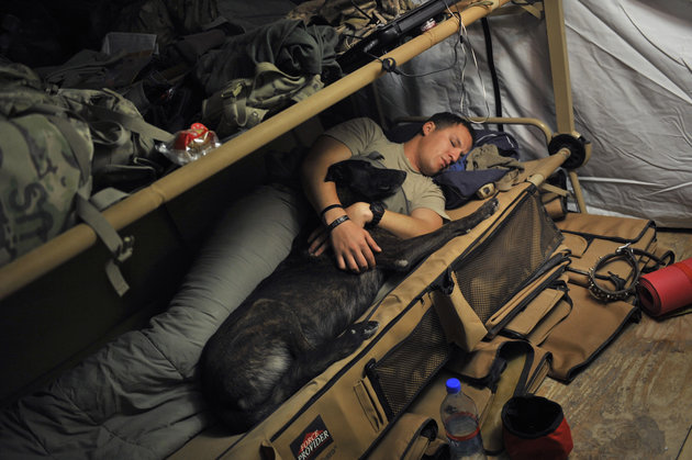 軍犬與軍人的情感緊密連結，在戰地彼此扶持。　取自赫芬頓郵報