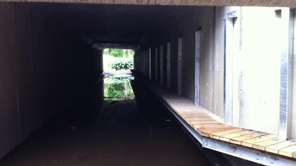 Griffith University影片截圖