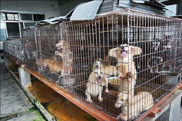 在私人土地發生的違法情事，相當倚賴民眾檢舉。　取自網路