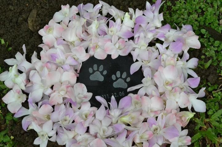 國北護校犬小黑過世後,校方為牠舉辦了隆重的葬禮,並將牠的骨灰埋在校園中。 取自北護校犬志工隊臉書