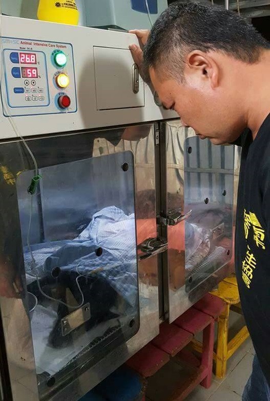 護生園有2間「氧氣房」，一台機器要價30萬。　徐園長/提供