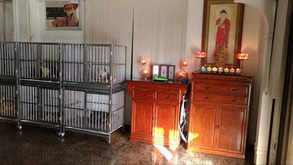 護生園醫療大樓一隅。　徐園長/提供