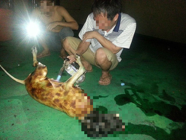 有些移工不懂台灣民情與法律，直接將殺狗過程貼上網（圖為過去案件照片）。　取自網路