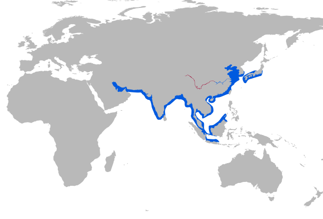 江豚分布地區（紅色為長江江豚分布地）。　取自維基百科