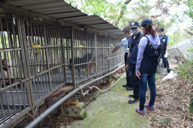 康姓業者雖然是非法繁殖，但現場檢視並沒有虐待動物情況。　台灣動物新聞網資料照